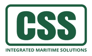 css new logo